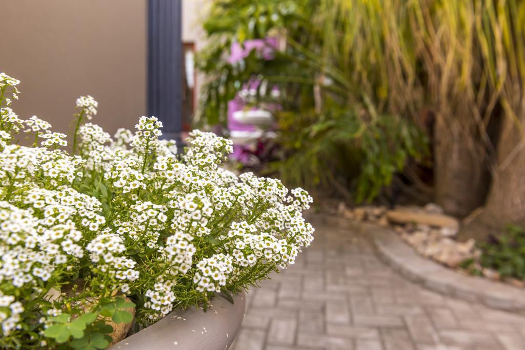 Kingfisher Guesthouse Port Elizabeth Exterior photo